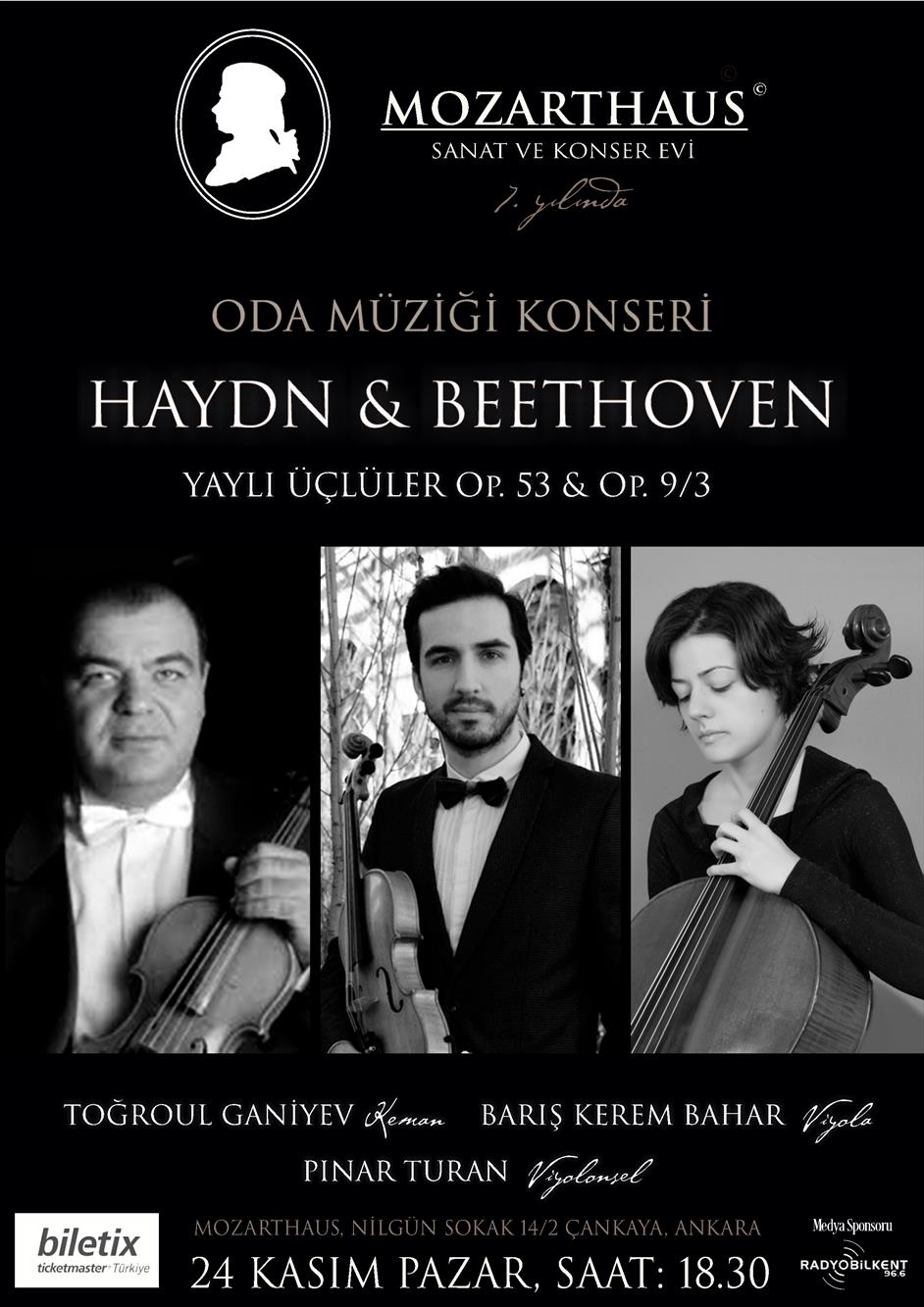 Mozarthaus Concerts