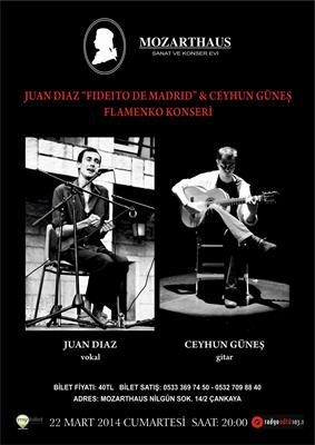 Mozarthaus Concerts