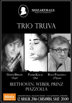 Mozarthaus Concerts