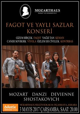 Mozarthaus Concerts