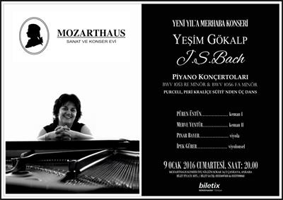 Mozarthaus Concerts