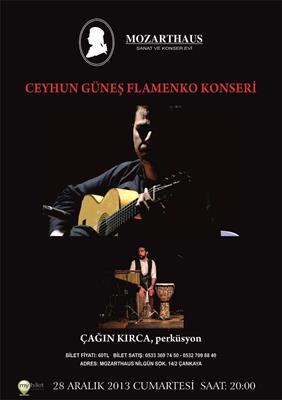 Mozarthaus Concerts