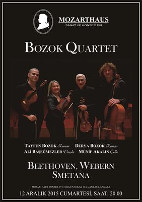 Mozarthaus Concerts