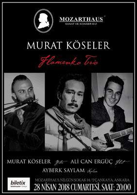 Mozarthaus Concerts