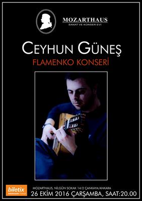 Mozarthaus Concerts