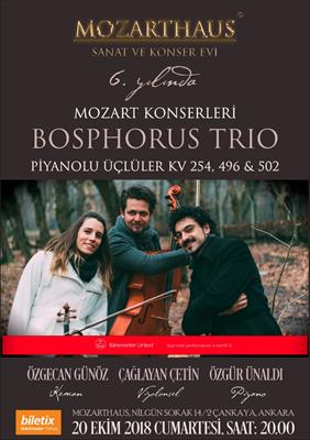 Mozarthaus Concerts