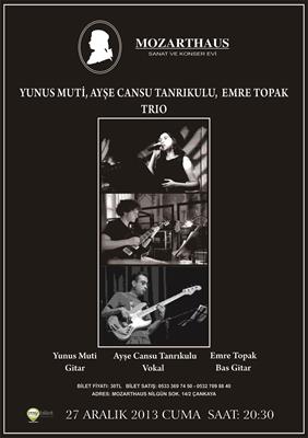 Mozarthaus Concerts