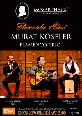 Mozarthaus Concerts