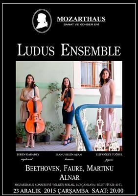 Mozarthaus Concerts