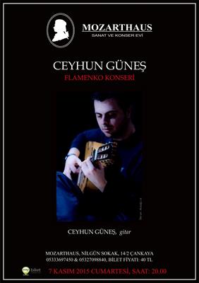 Mozarthaus Concerts